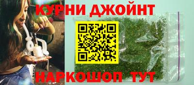 шишки Нарткала