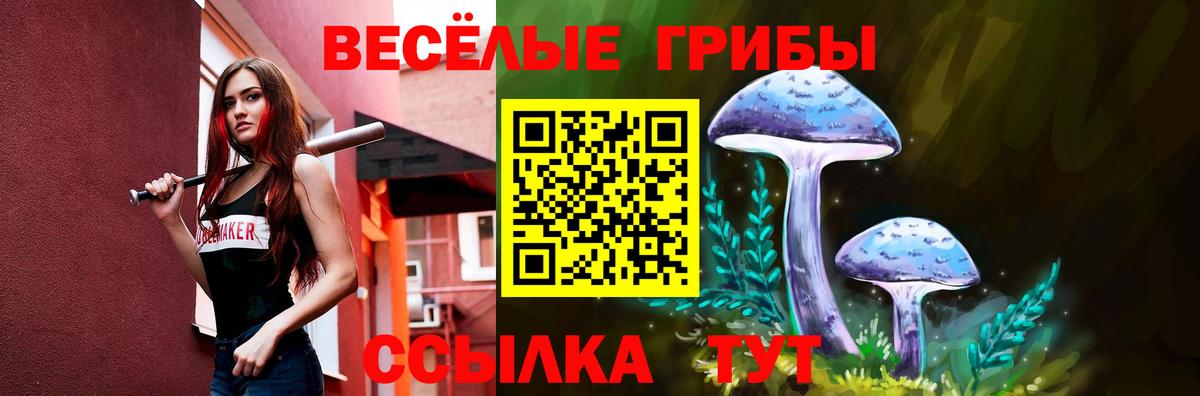 Псилоцибиновые грибы Psilocybe Георгиевск